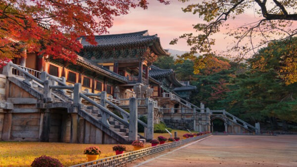 Temui Gyeongju-si: Panduan untuk Hotel Mewah Terbaik untuk Penginapan Mewah