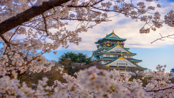 大阪的四季美景：樱花景点指南
