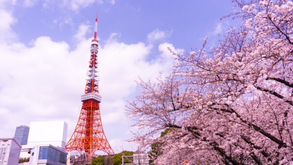 在東京 7 天：穿越現代和傳統日本的旅程