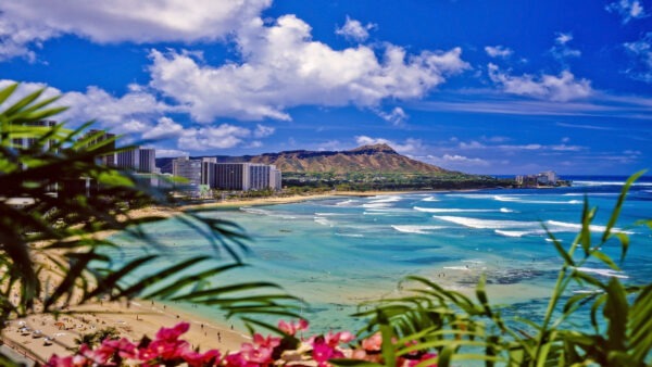 檀香山的豪華度假勝地:頂級五星級酒店的精緻夏威夷體驗