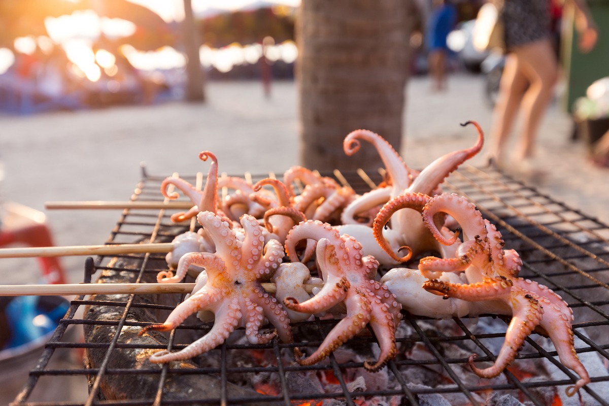 Grilled squids