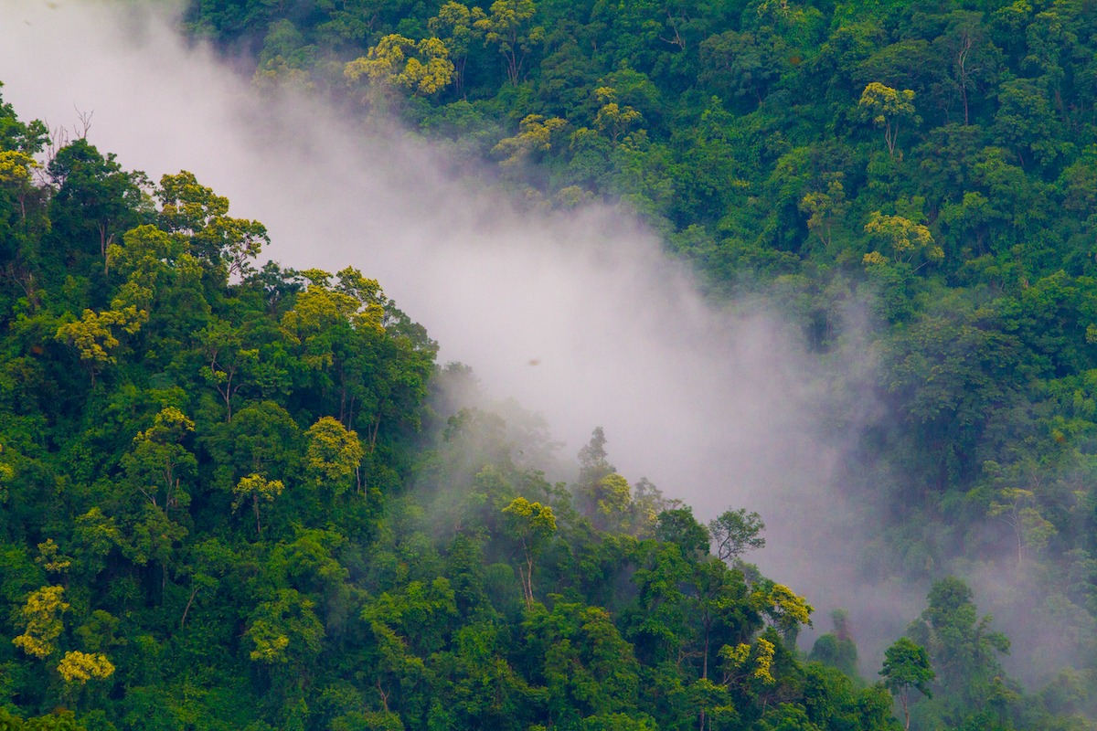 Taman Negara Khao Yai di Nakhon Ratchasima