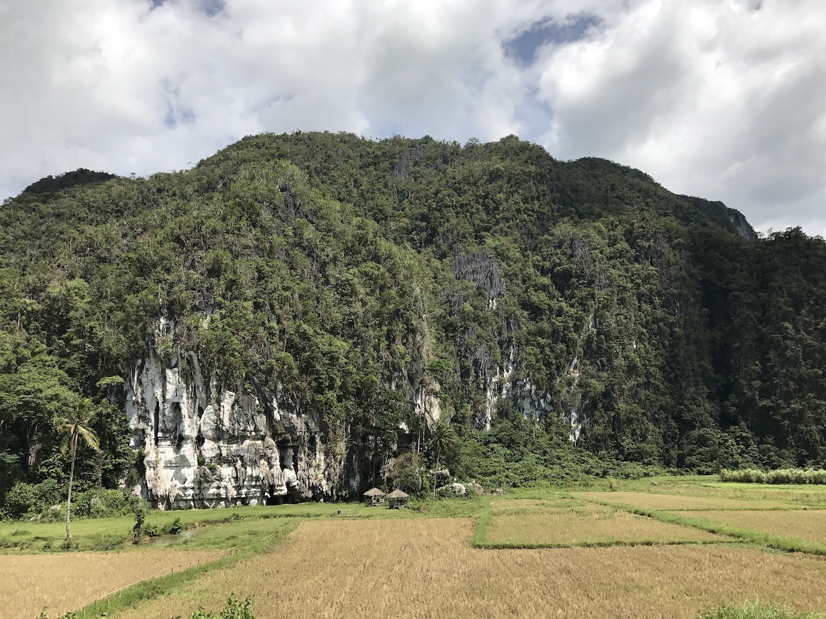 Jarum Cleopatra, Palawan