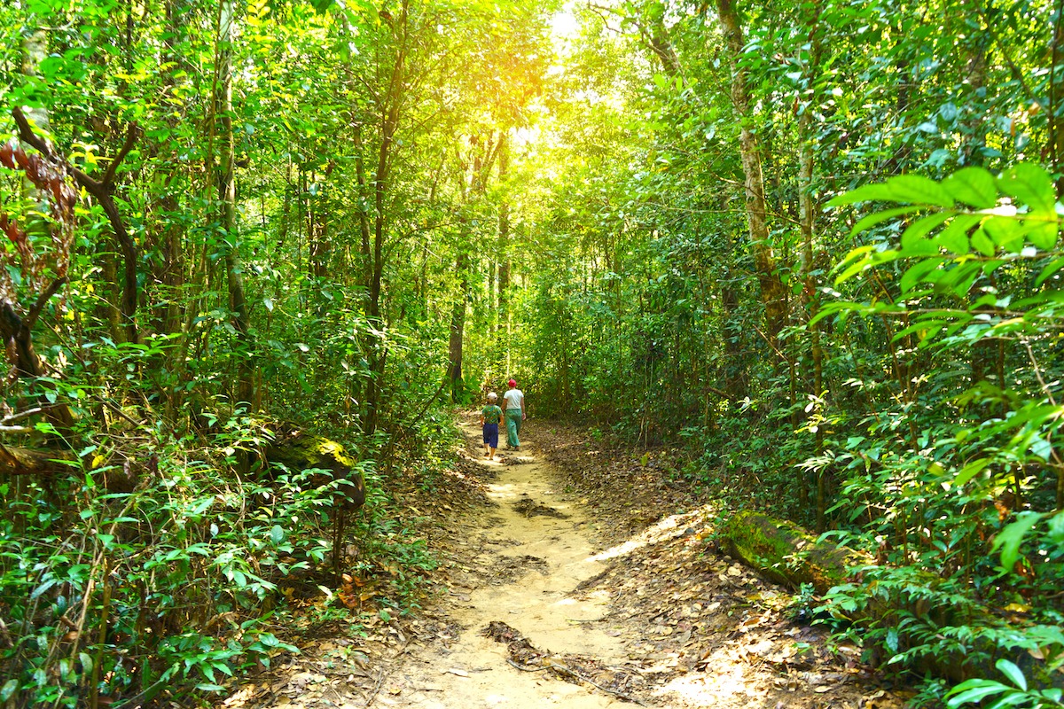 富國島國家公園 Ganh Dau Trail