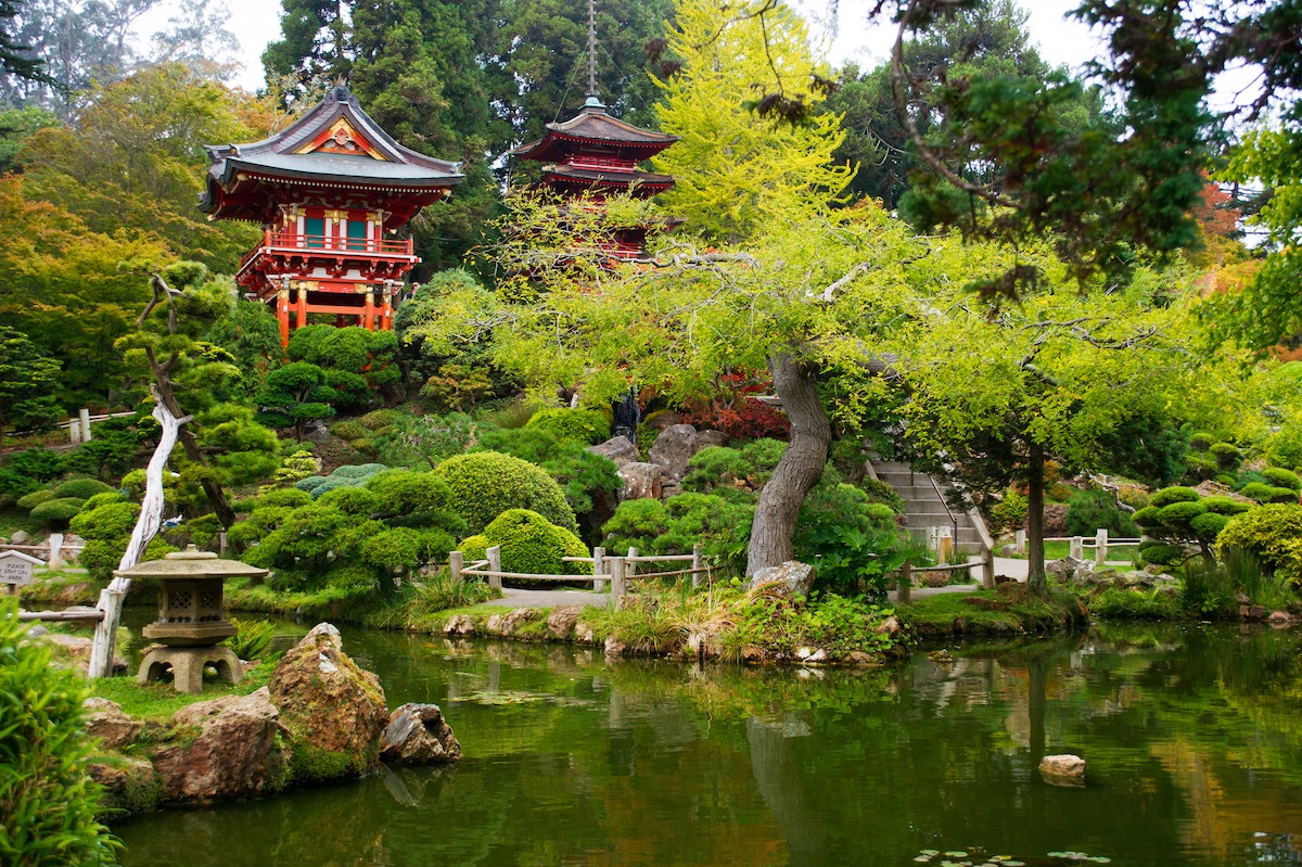 حديقة الشاي اليابانية