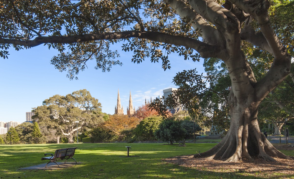 the Royal Botanic Gardens