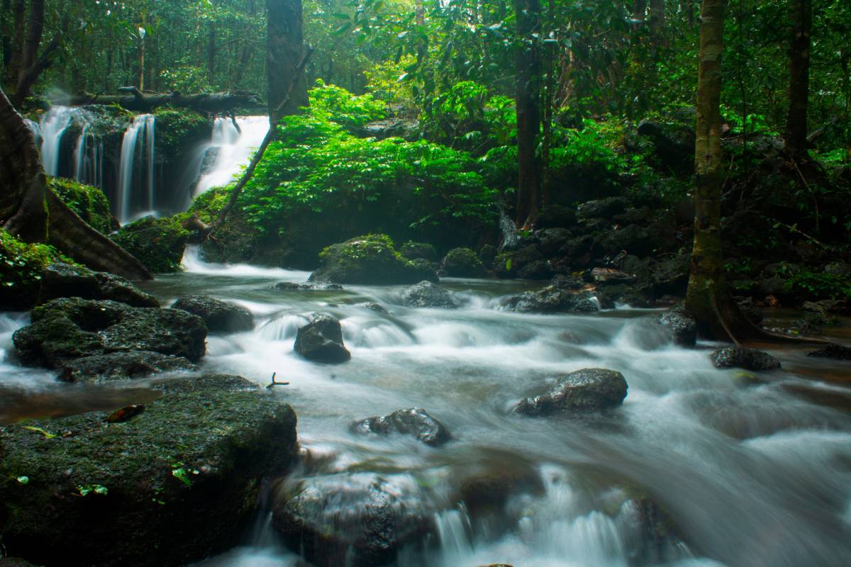 Agumbe, Karnataka, India