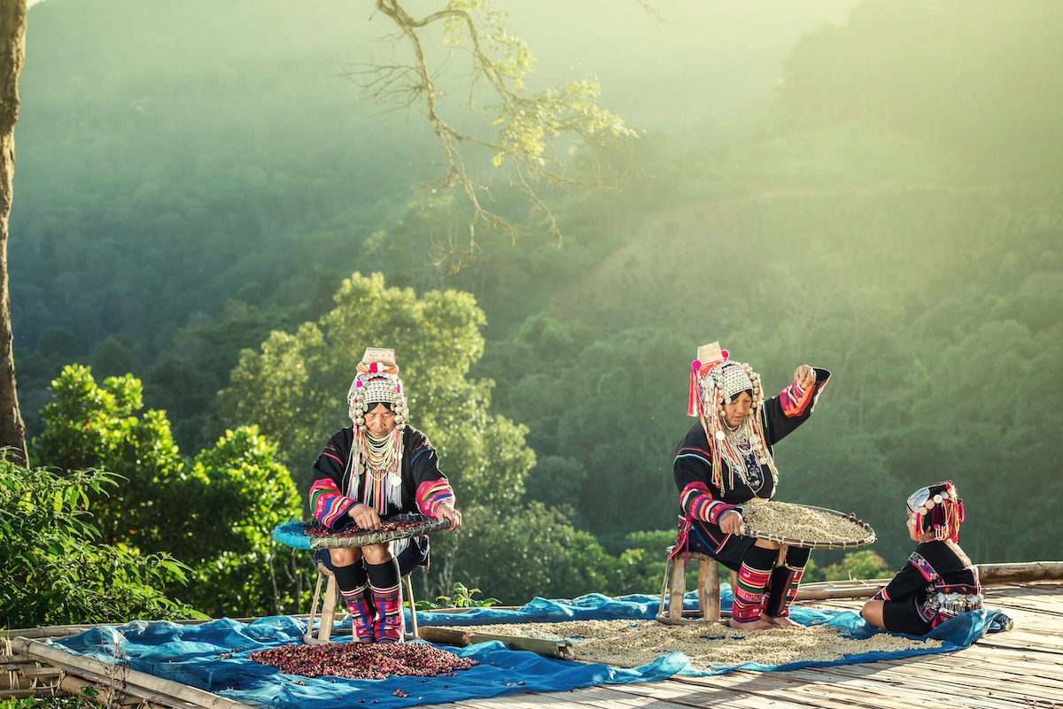 Akha hill tribes at plantation, Chiang Rai