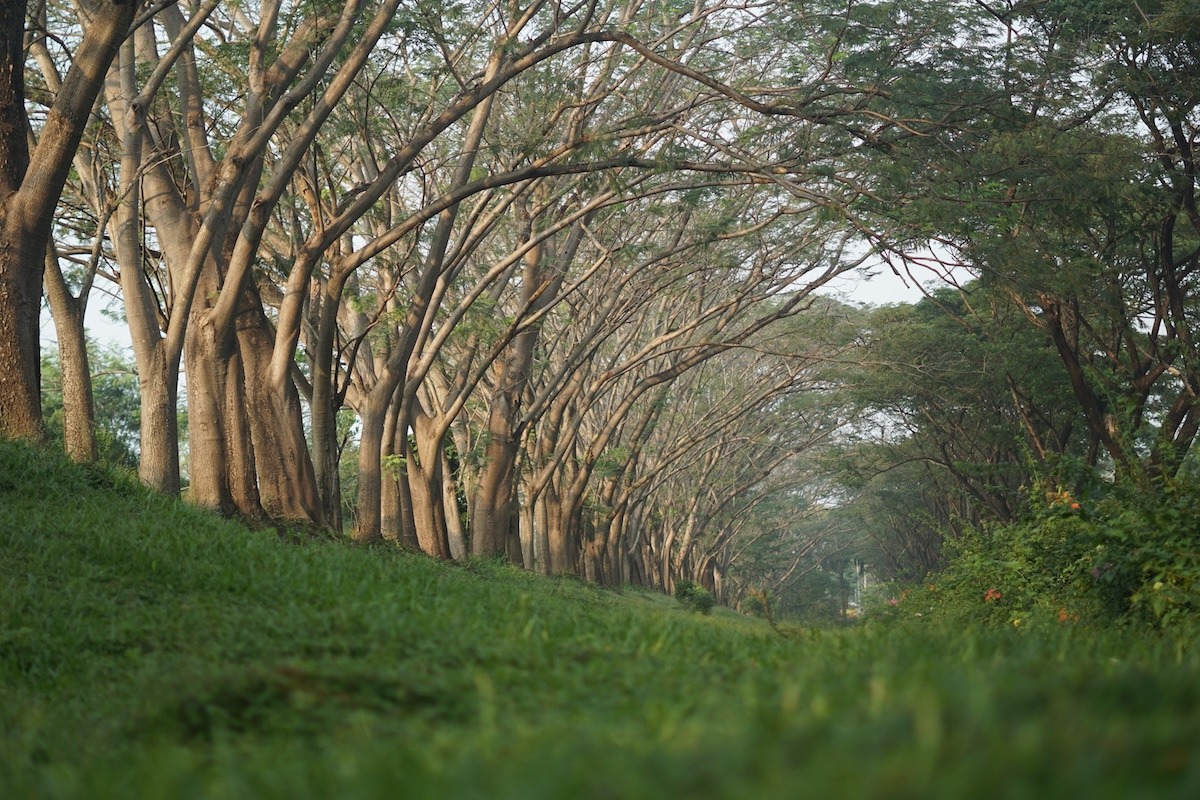 Ruang hijau di Cikarang