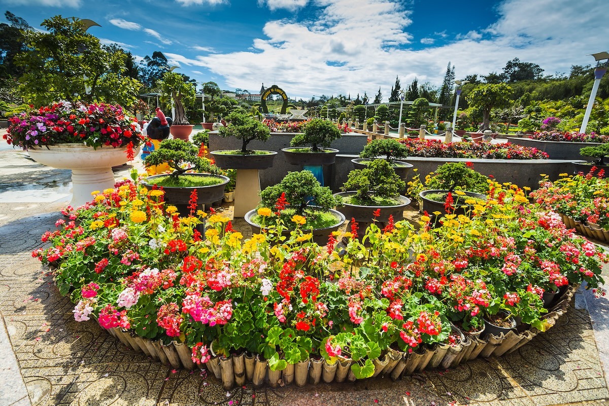Taman bunga Kota di Dalat, Vietnam