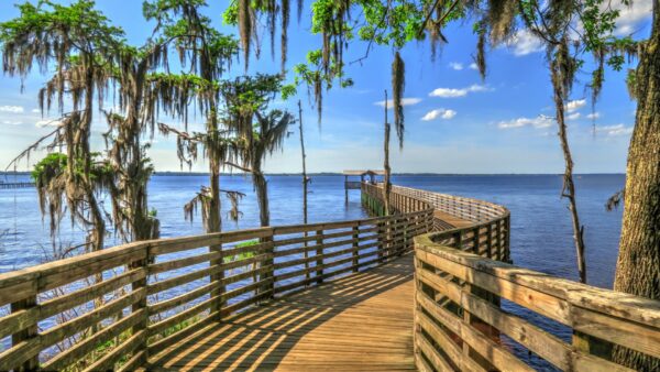 Profitez du soleil et de la culture : Les meilleures destinations et attractions de Jacksonville sur la plage