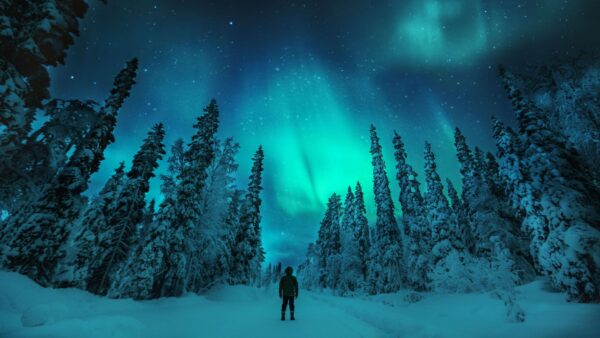 拉普蘭的夜光：在芬蘭體驗北極光