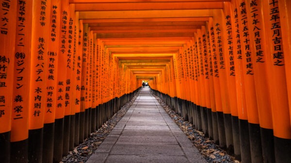 7 Tage in Kyoto: Das ultimative immersive Erlebnis