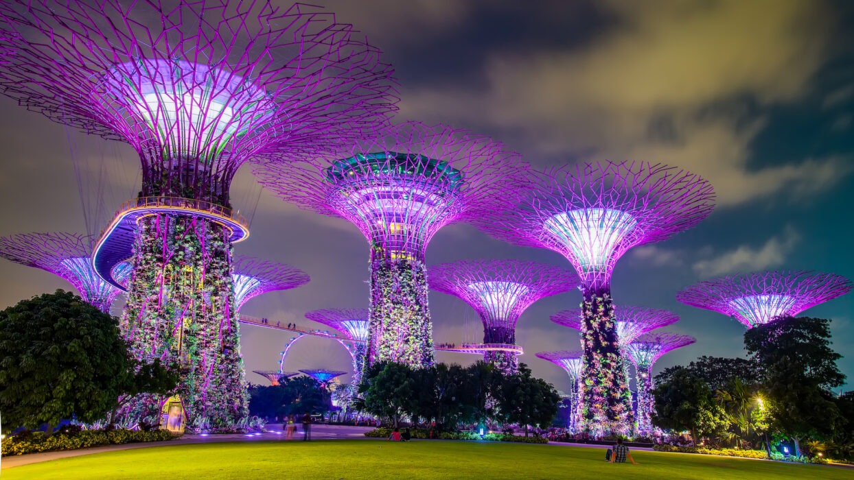Exploration de Gardens by the Bay à Singapour : Un guide complet du pays des merveilles de la nature background image