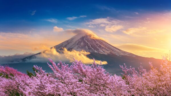 从静冈出发游览富士山：季节指南