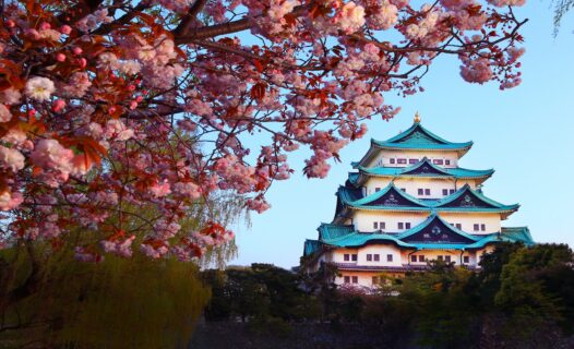 名古屋 3 天穿越日本心脏地带的文化之旅