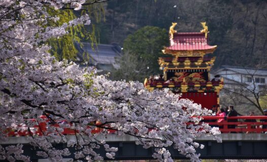 大阪樱花盛开:花瓣彩绘之旅