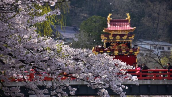 تذوق الربيع في تاكاياما: دليلك النهائي لاحتفالات سانو ماتسوري