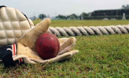 The Ultimate Guide to Experiencing Cricket Season in India image