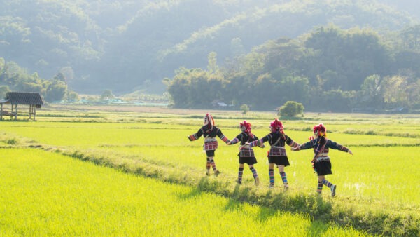 احتضان القلب الأخضر لتايلاند: السياحة البيئية في شيانج راي