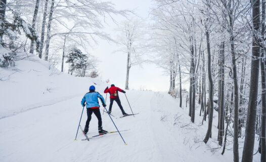 Pyeongchang's Premier Ski Resorts: Your Ultimate Guide to South Korea's Winter Paradise image