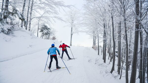 Les premières stations de ski de Pyeongchang : Votre guide ultime du paradis hivernal de la Corée du Sud