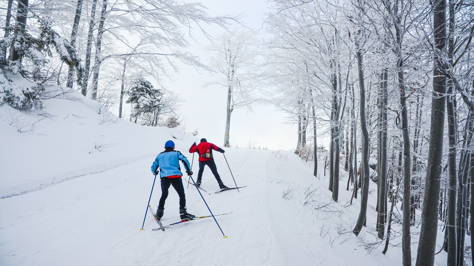 Khu nghỉ dưỡng trượt tuyết hàng đầu của Pyeongchang: Hướng dẫn cơ bản của bạn về Thiên đường mùa đông ở Hàn Quốc » Agoda: See The World For Less