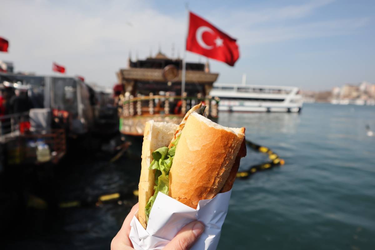 Fish Sandwich, Istanbul, Turkey