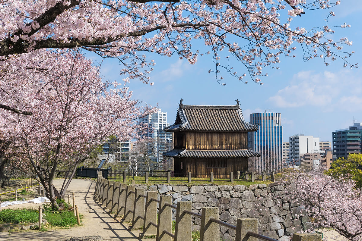 Ruines du château de Fukuoka