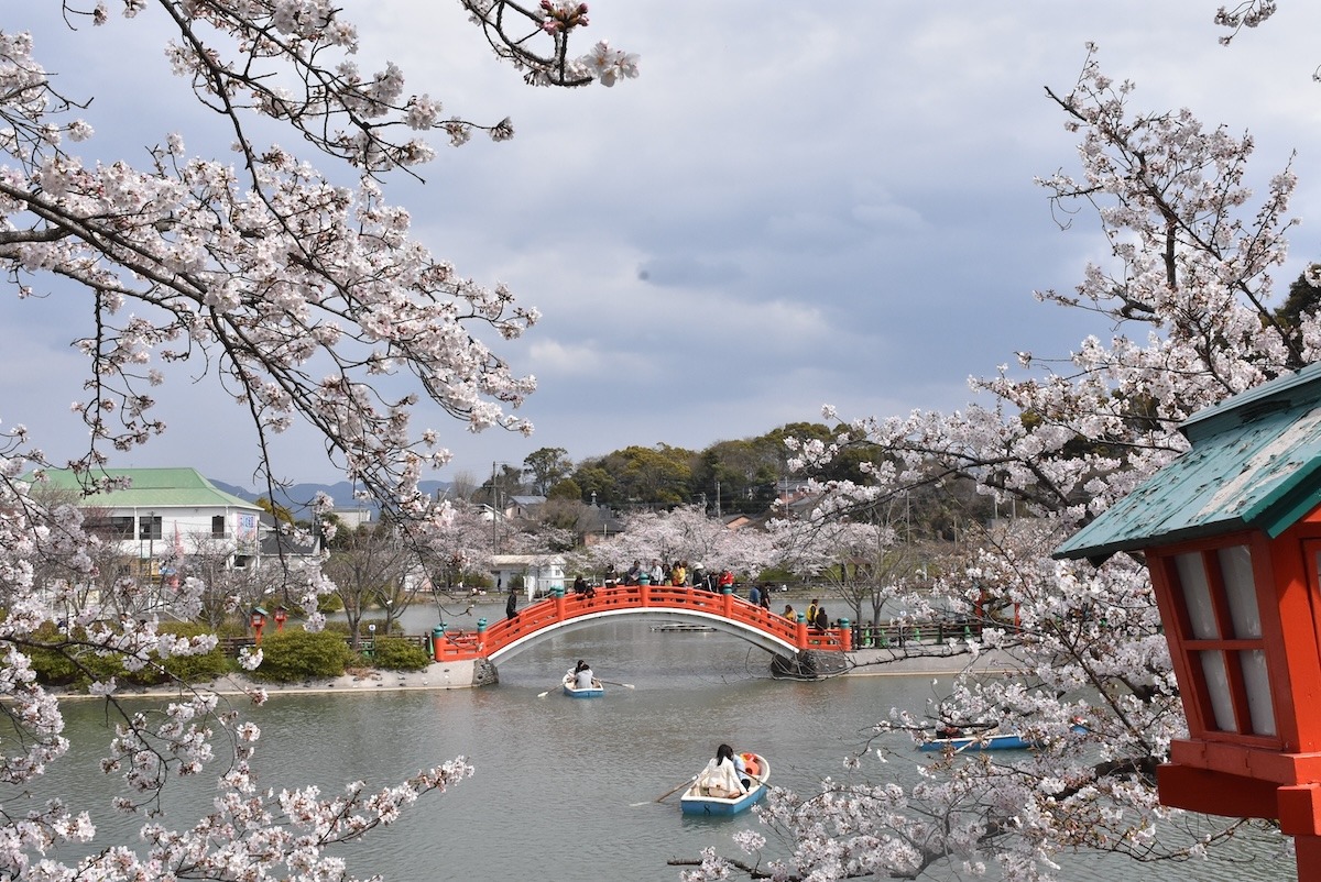 Taman Habu selama musim Hanami, Kitakyushu Jepang