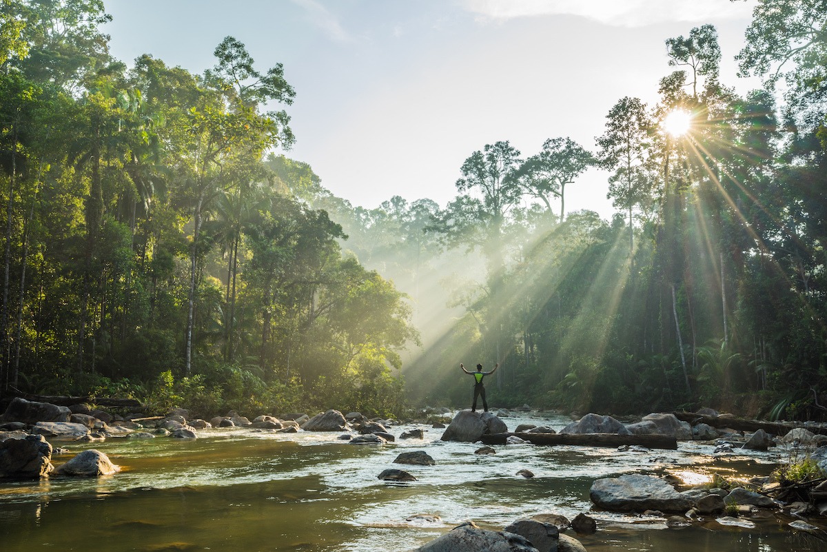 Endau-Rompin National Park