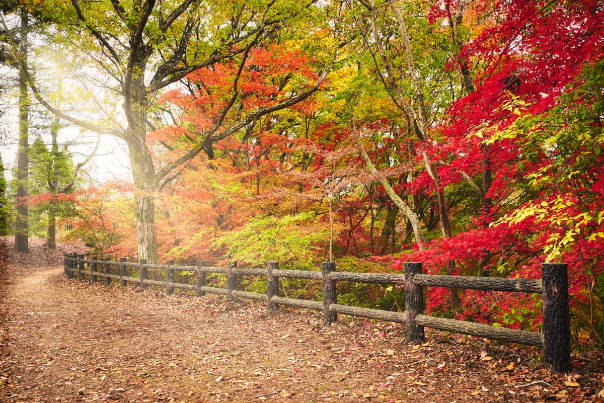 고베 시립 수목원, 고베, 일본