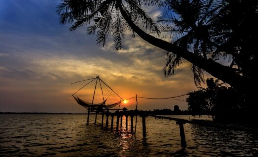 Discover Fun at Panampilly Nagar Park: A Charming Escape Image
