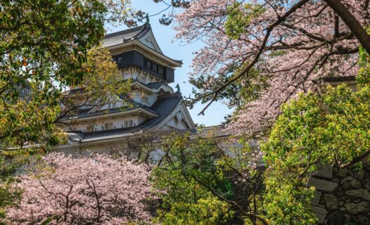 Discover Kitakyushu: 48 Hours of Hidden Gems Await!
