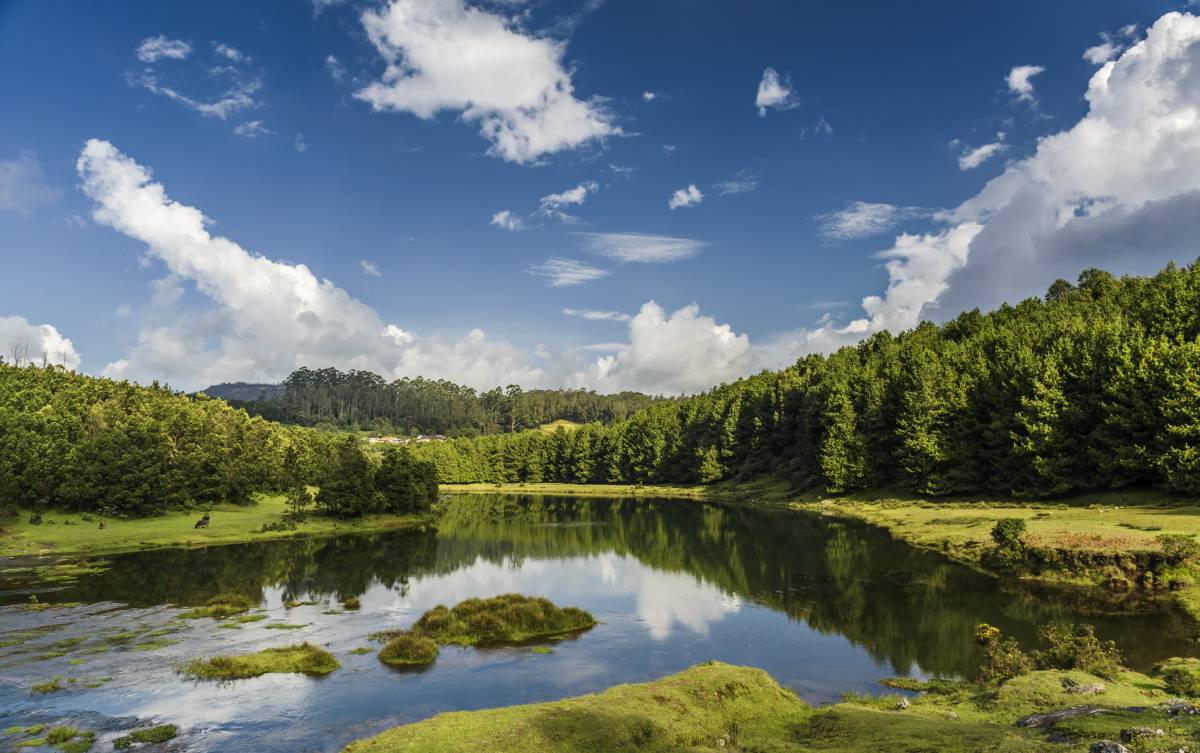 Lac, Ooty, Inde