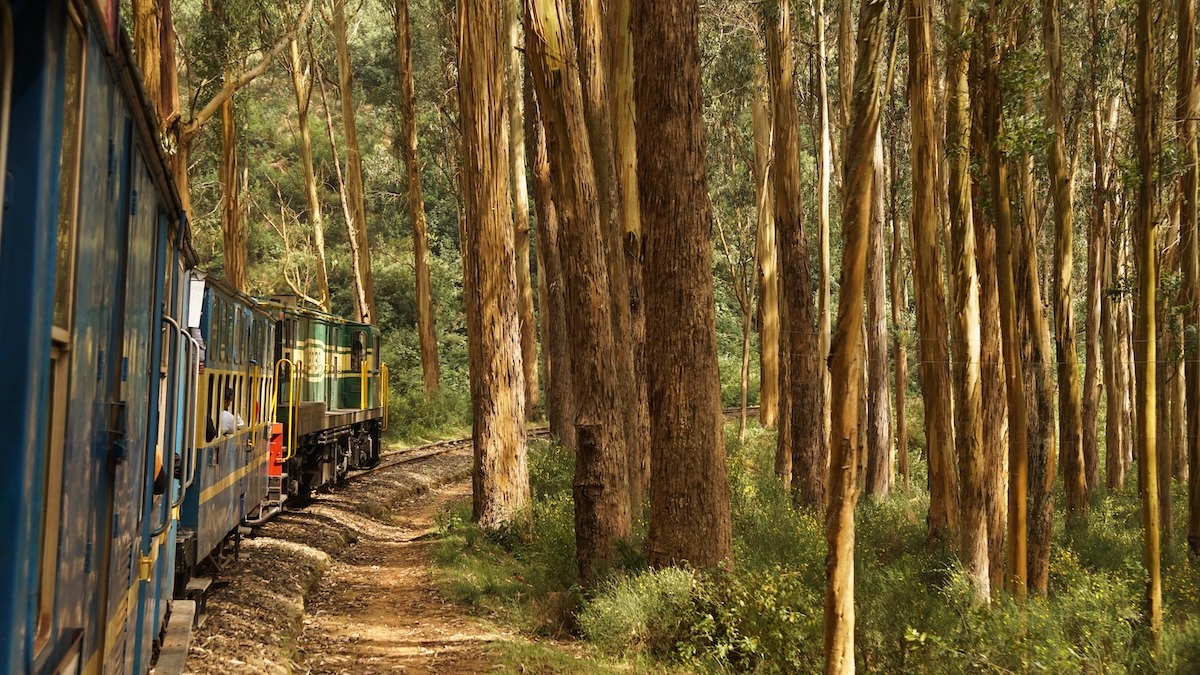 Kereta Api Gunung Nilgiri, Ooty, India