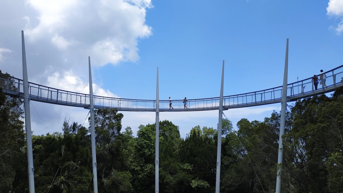 Tree Top Walk, The Habitat, Đồi Penang