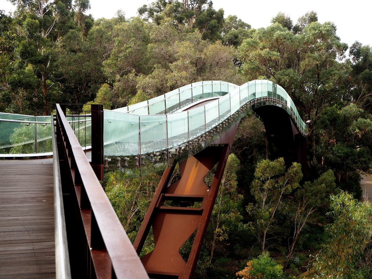 Federation Walkway ใน Kings Park เมืองเพิร์ท