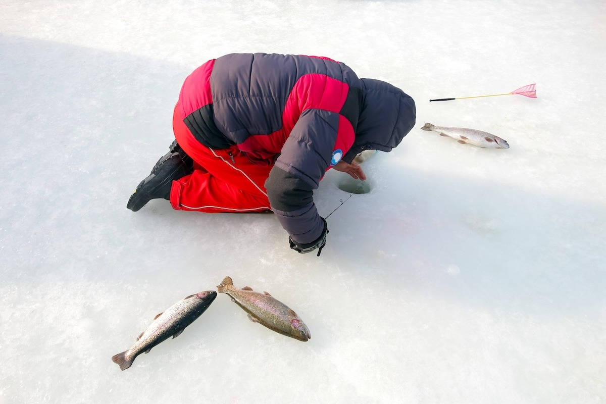 在平昌鳟鱼节上进行冰钓
