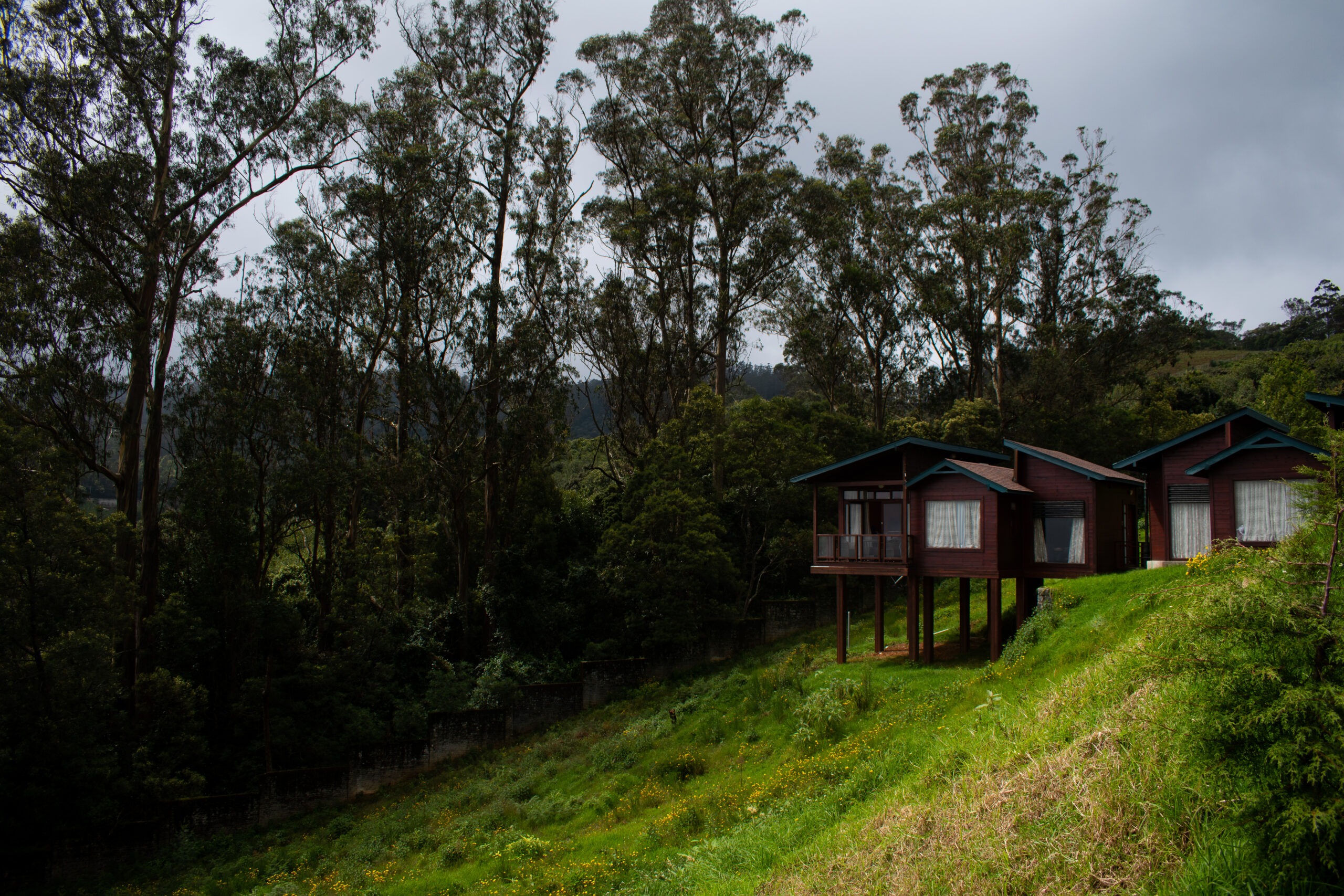 Resort, Ooty, Inde