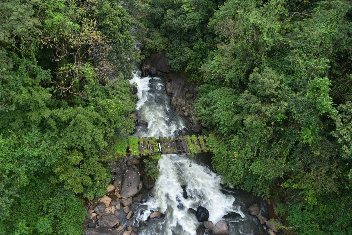 Laluan Hijau Sakleshpur, Karnataka, India