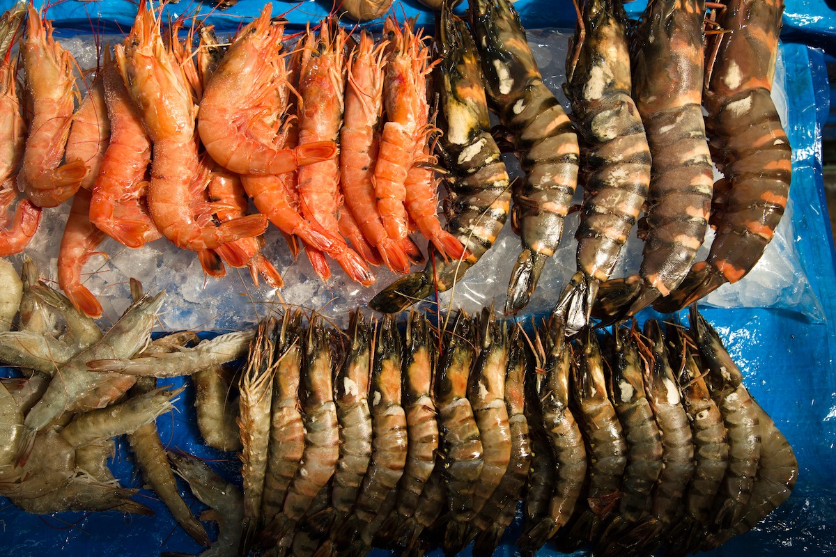 鷺梁津水產市場展出的蝦子和小龍蝦
