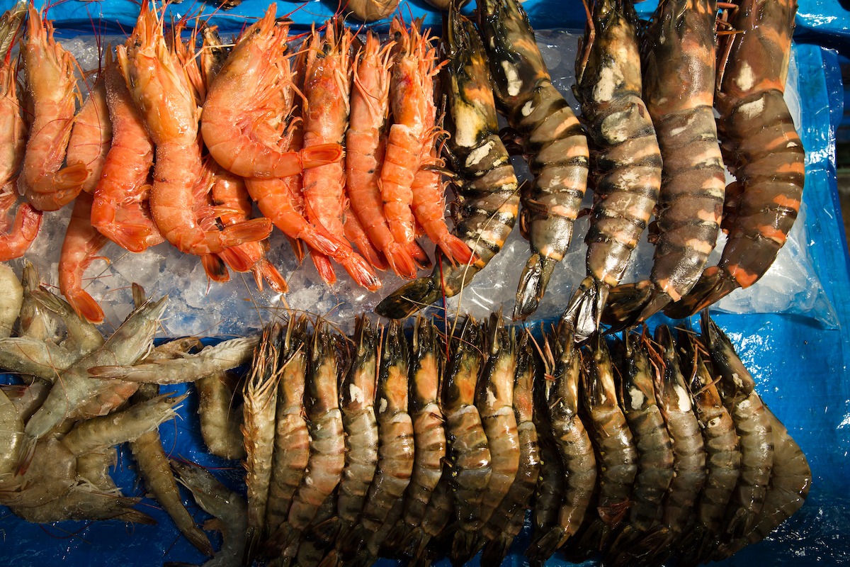 Udang dan udang karang dipamerkan, pasar ikan Noryangjin