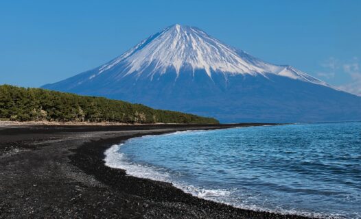 Shizuoka's Cherry Blossom Festival: Spring Fun by Mount Fuji