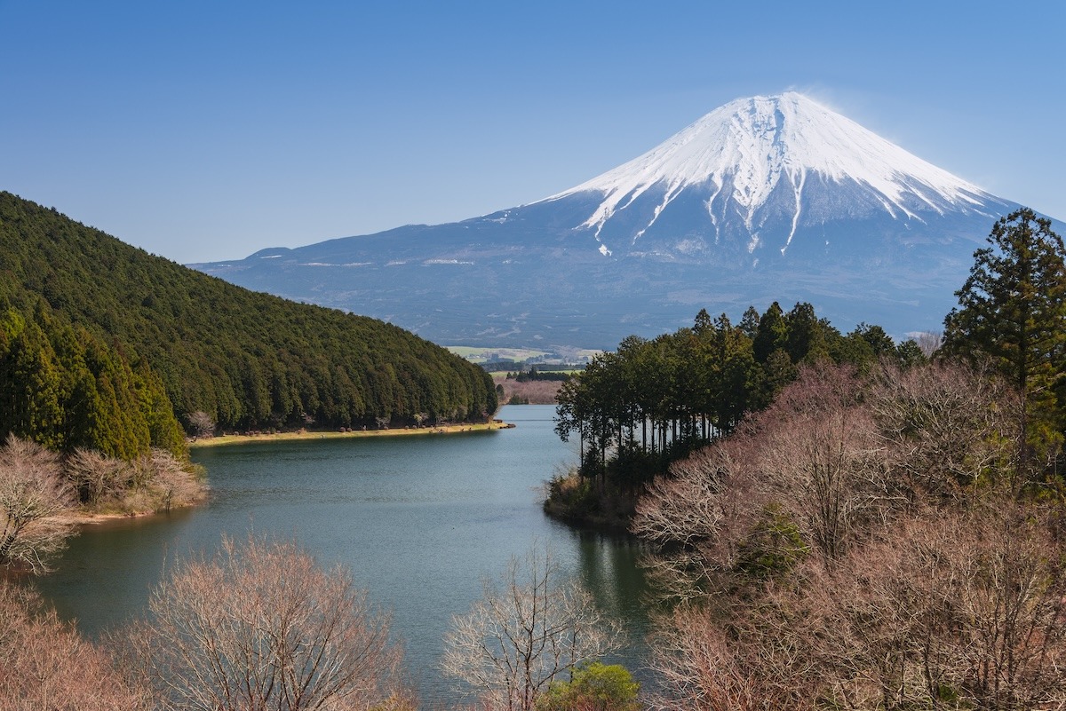 Shizuoka - Mount Fuji and Lake Tanuki