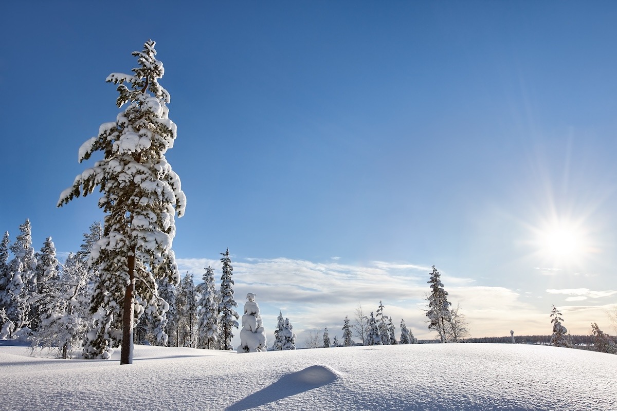 Sonnige Winterlandschaft in Lappland, Finnland