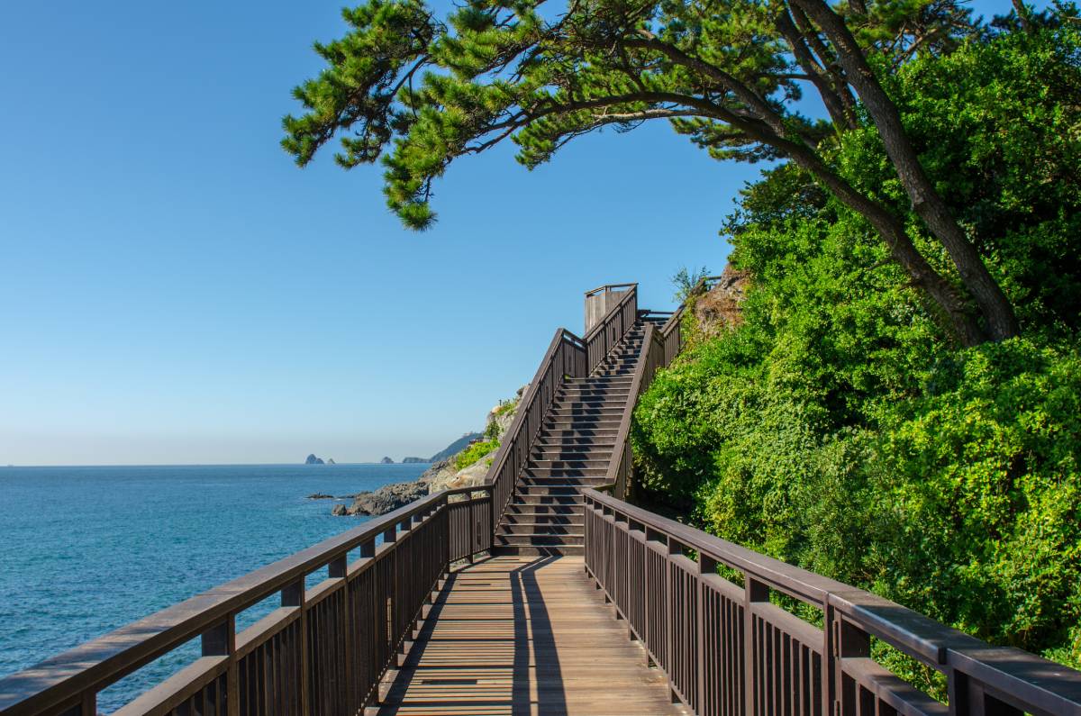 태종대 공원, 대한민국 부산