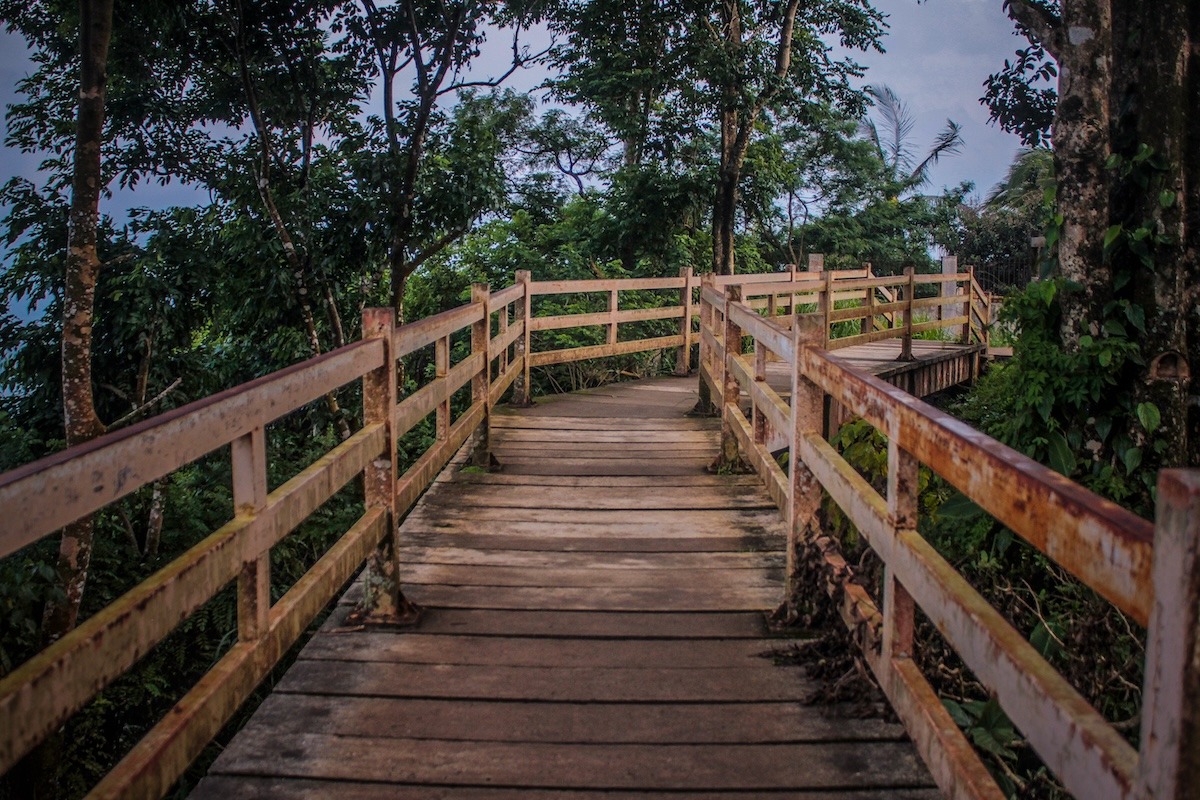 Tagaytay - Bosquet de pique-nique