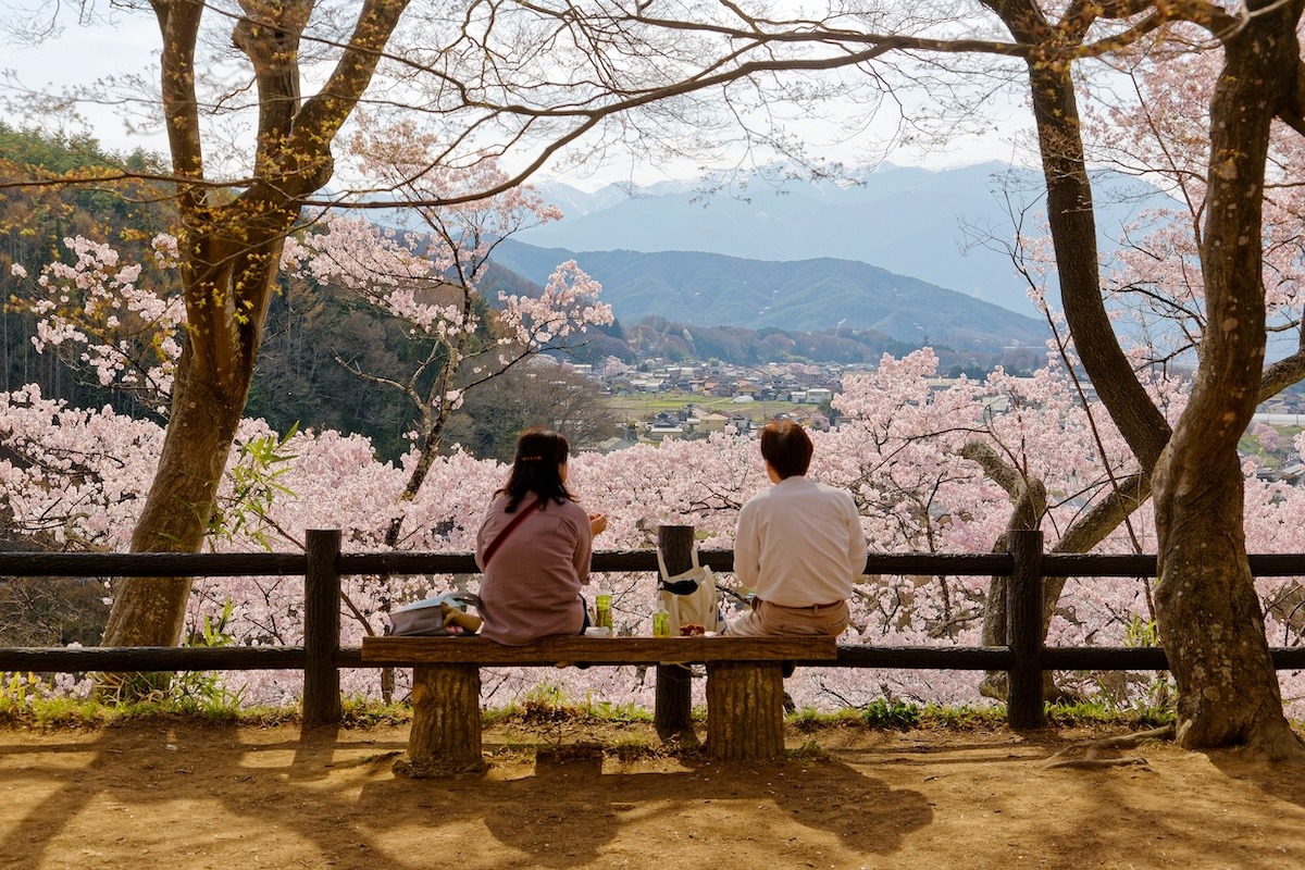 다카토 성터 공원, 이나, 나가노, 일본