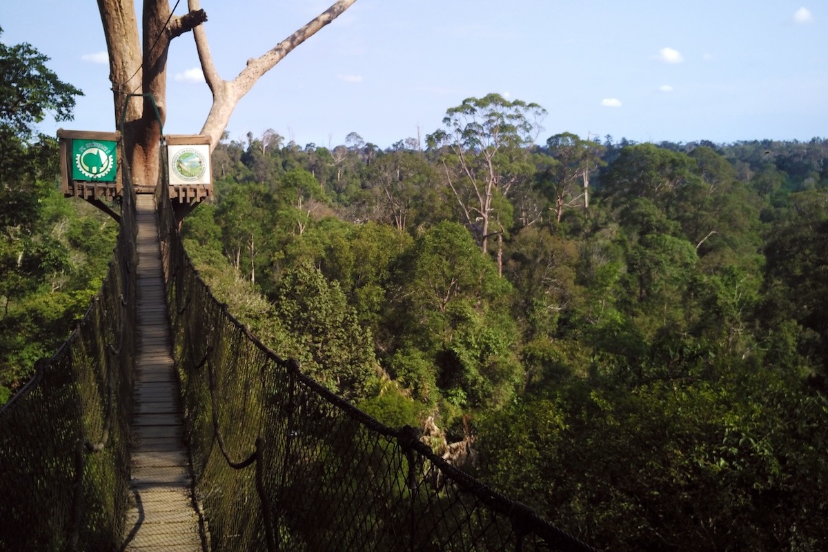 Collines de Bangkirai Balikpapan, Indonésie